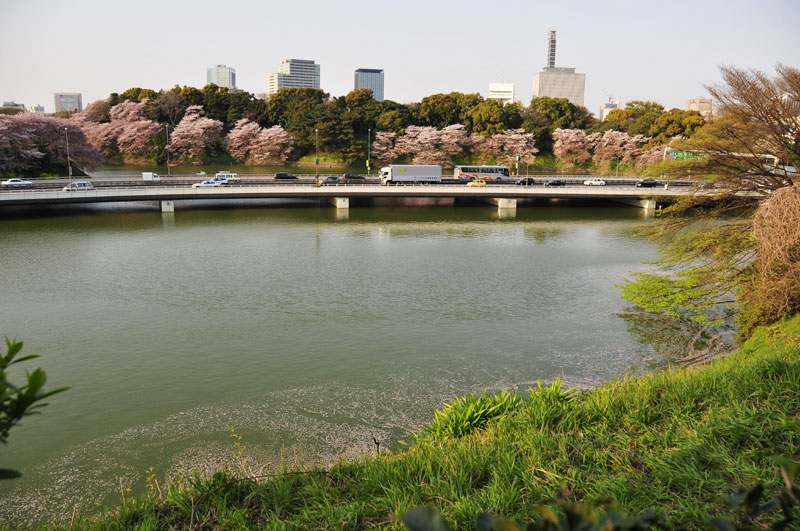 桜と水、ボート、夕陽、人々、アデュー2008千鳥ヶ淵の桜✿ฺ´☆`✿ฺ_a0031363_1425415.jpg