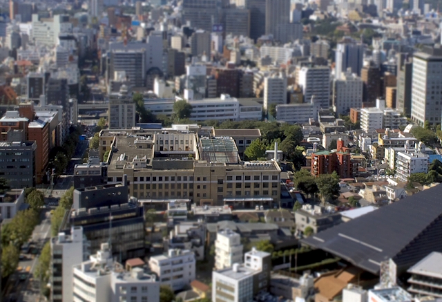 東京タワーの展望台から_f0018464_751932.jpg