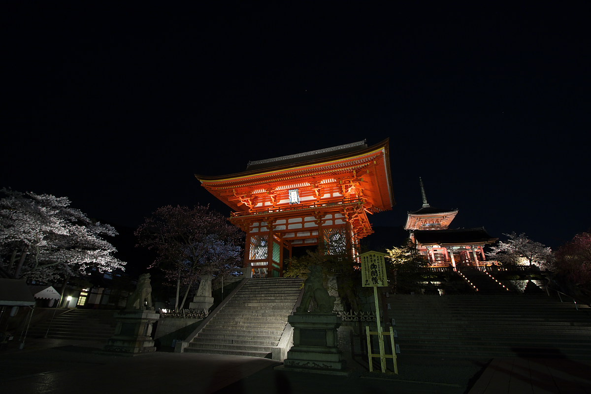 京都　清水寺　夜桜  1_f0021869_20591367.jpg