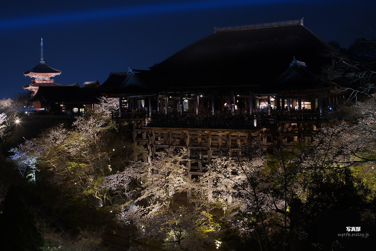 京都　清水寺　夜桜  1_f0021869_2123681.jpg