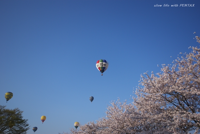 桜と熱気球_b0116272_21275552.jpg