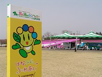 太田市北部運動公園 ～ 第25回全国都市緑化ぐんまフェアおおた会場 2008【芝桜】_b0004675_17272059.jpg