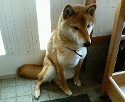へなっ…_b0011075_2038304.jpg