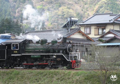 大井川鉄道_c0126876_1822359.jpg