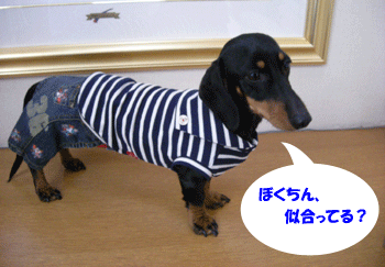 e0066883_2247352.gif