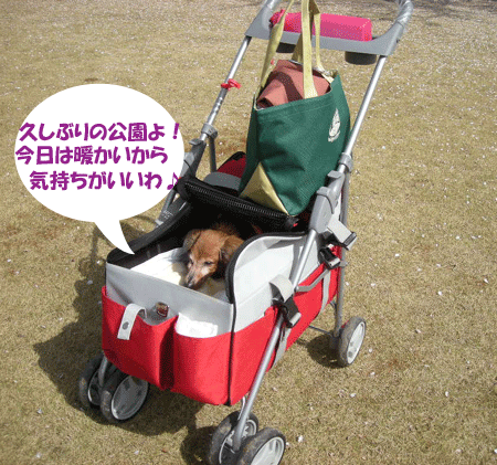 e0066883_231057.gif