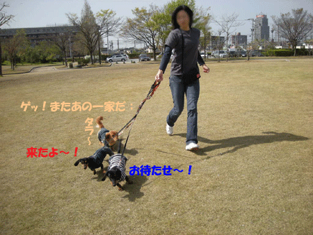 e0066883_2312123.gif
