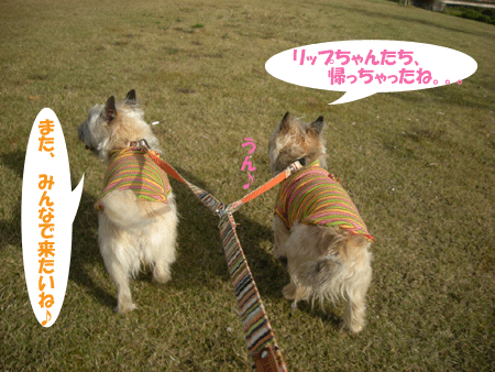 e0066883_23234630.gif