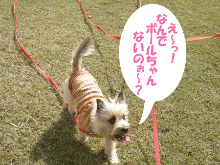e0066883_23423210.gif