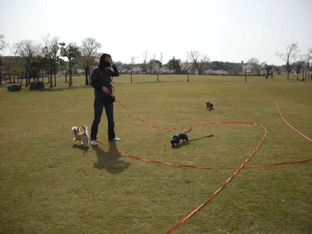 e0066883_23425467.gif