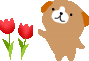 e0066883_23493830.gif