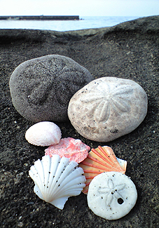 c0048685_15462497.jpg