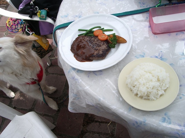   カフェレポート＠　山梨県（清里） ～ グランレストラン　ルミエール_a0032004_1626418.jpg