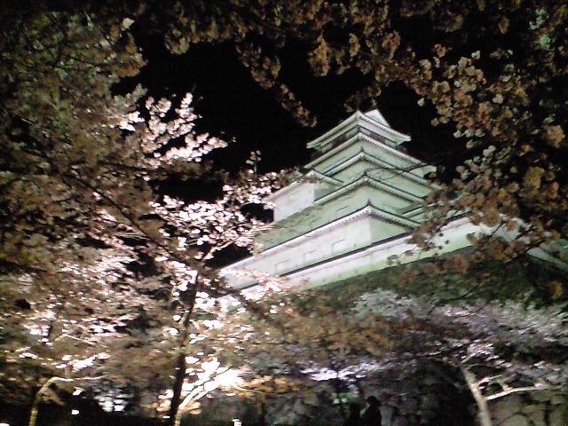 鶴賀城の桜_d0099708_631611.jpg