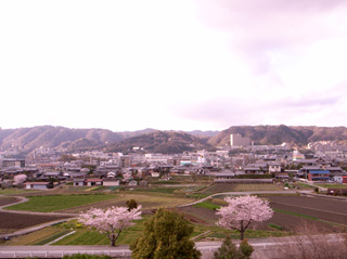 土_e0064530_039468.jpg