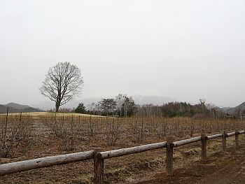 富士重工を語る前に②_f0076731_20325081.jpg