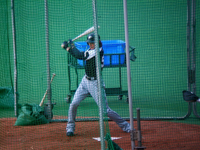 マリンスタジアムの写真(4/11)その3~ファイターズ編_e0089232_19212635.jpg