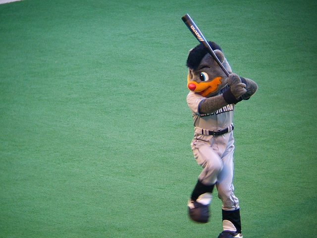 マリンスタジアムの写真(4/11)その3~ファイターズ編_e0089232_19215012.jpg