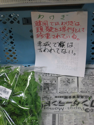 ●「うろ゛ん」と「わけぎ」_a0033733_11313169.jpg