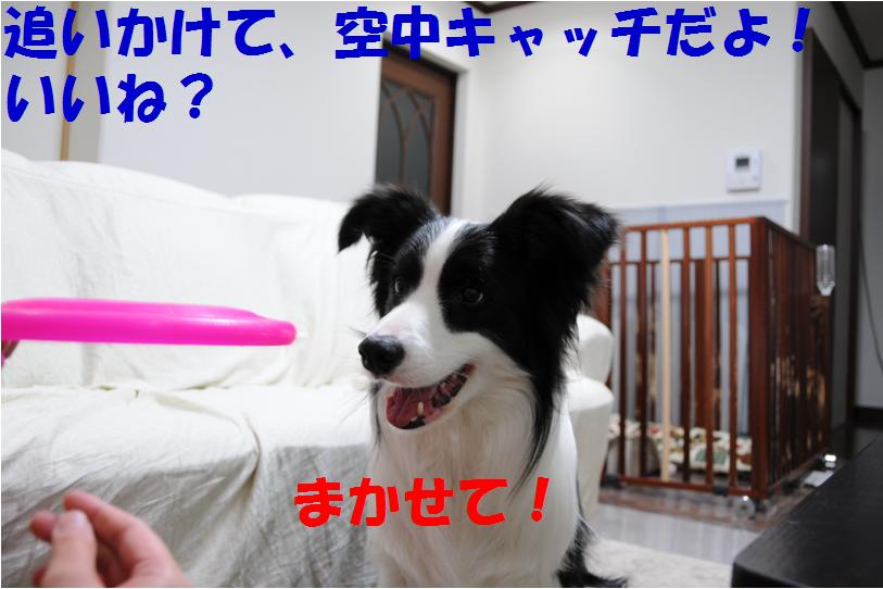c0147241_21591872.jpg