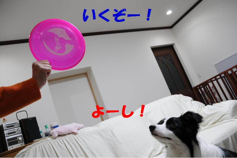 c0147241_21593751.jpg