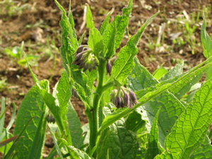 c0141844_2543050.jpg