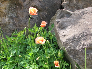 c0141844_2545210.jpg