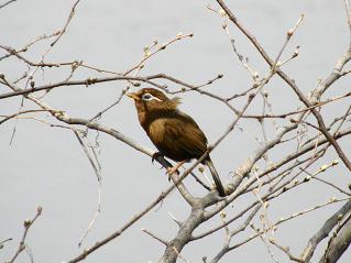 c0145250_1465013.jpg