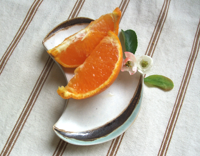 e0060452_78470.jpg
