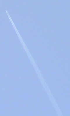 飛行機雲_c0133561_1574490.jpg