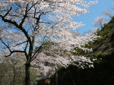 c0134862_5272253.jpg