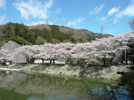 c0134862_5274671.jpg