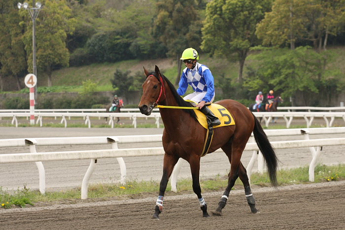 2008年4月13日（日） 高知競馬 7R レース前_a0077663_182579.jpg