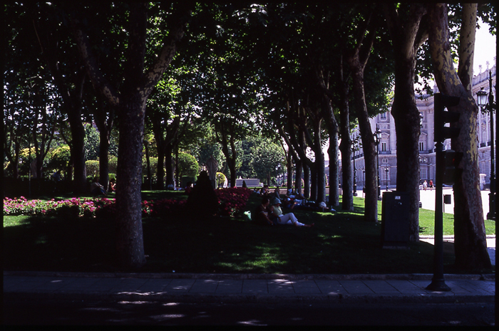 f0135371_1138314.jpg