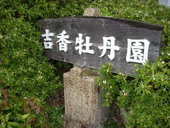 c0153173_2151628.jpg