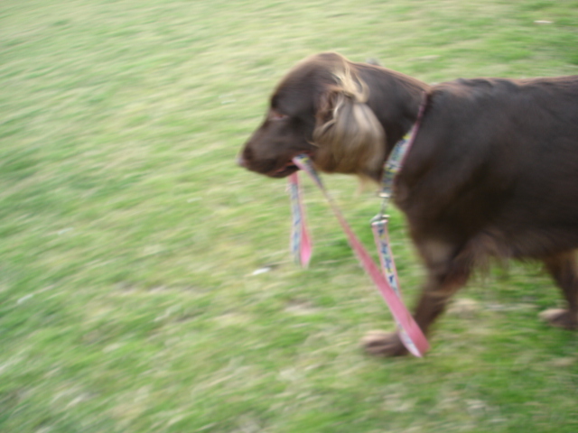 桜の公園へお散歩～♪_d0078080_19512467.jpg