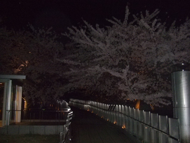 b0125384_6394446.jpg
