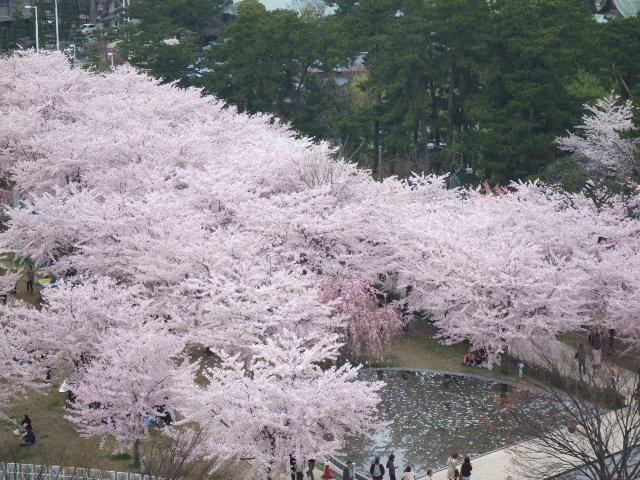 b0125384_743093.jpg