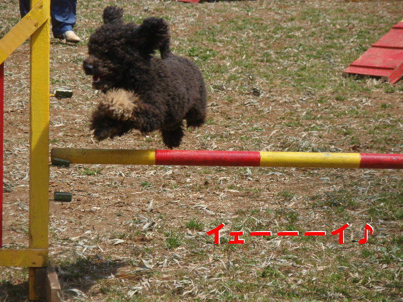 c0075585_7423972.jpg