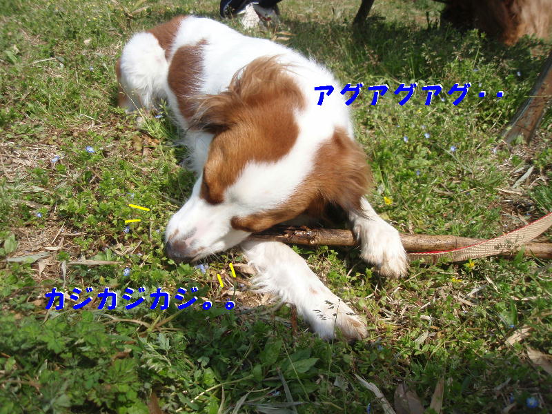 c0075585_7495777.jpg