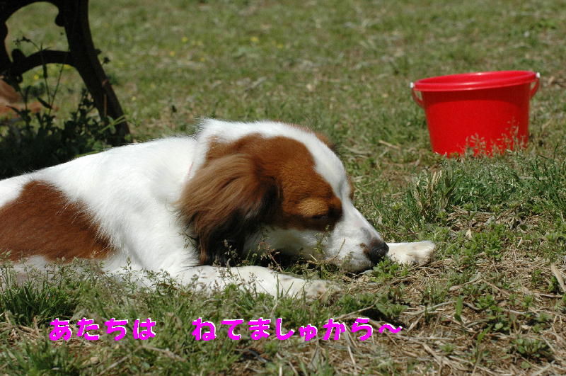c0075585_753042.jpg