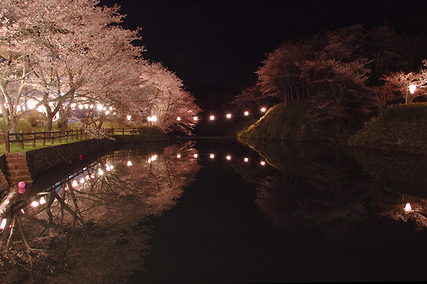 鹿野城址の夜桜_c0138090_003453.jpg