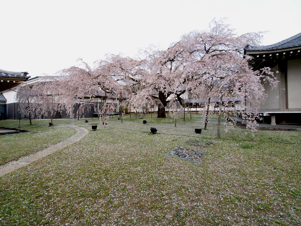 京都②_d0020300_2118303.jpg