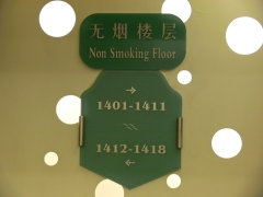 中国出張2008年4月－第一日目－香港空港から直接深圳へ_c0153302_23285793.jpg