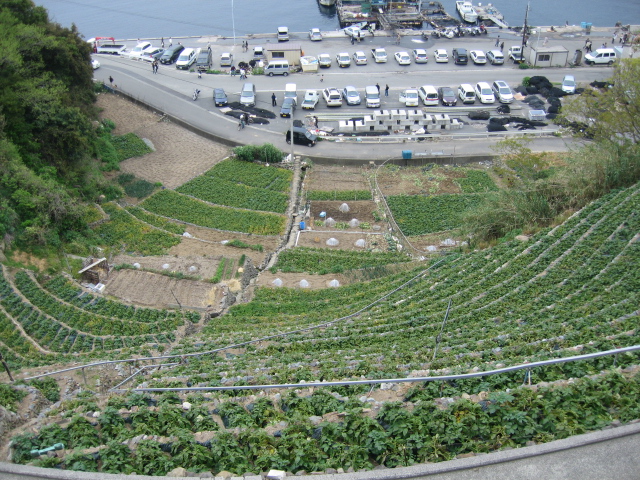 c0117028_01366.jpg