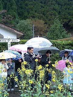 めざましフラワーロード&丸ビルライブ。_f0056929_1947719.jpg
