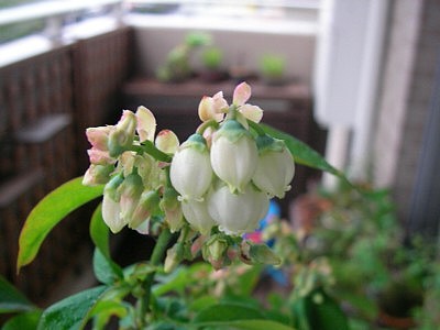 c0038434_1464037.jpg