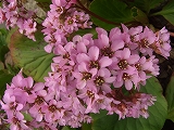 a0023043_8583251.jpg
