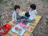 f0023446_06013.jpg