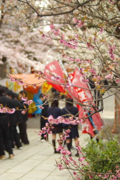 花は桜木 人は武士 柱は桧 魚は鯛 小袖 はもみじ 花はみよしの 攸々転石